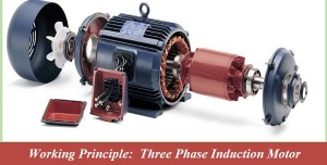 3-Phase Induction Motor Work